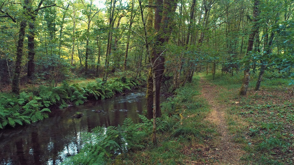 Creación de ruta senderista Pontedeva